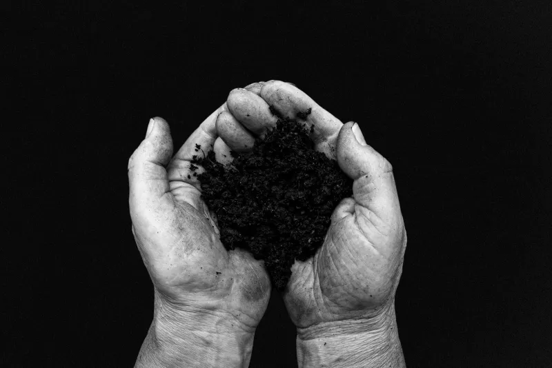 Dirt First: The Vermont Farmers Who Stopped Chasing Yields and Started Listening to the Land