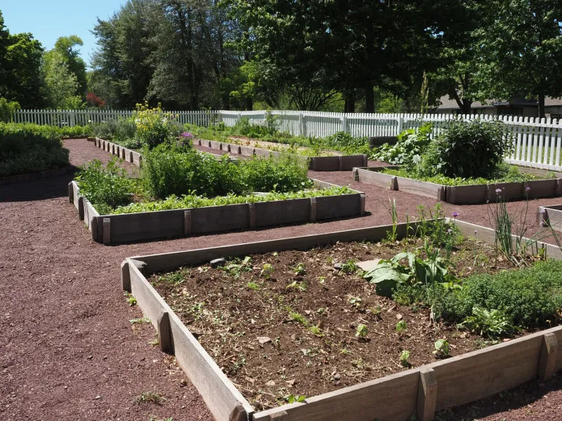 Grow Your Own Vermont: The Backyard Gardeners Quietly Rewriting the Rules of Food Independence