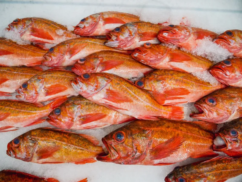 No Coast, No Problem: Vermont's Fishmongers Are Pulling Off Something Remarkable