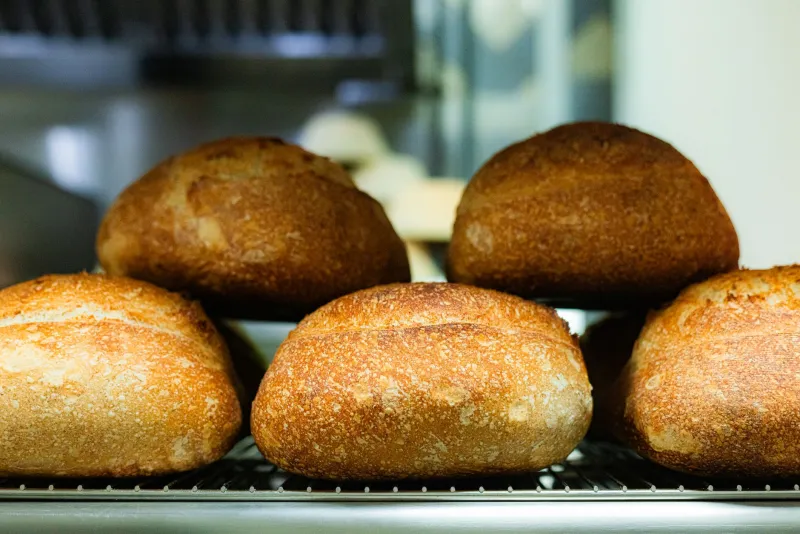 From Field to Crust: Vermont's Artisan Bakers Are Rewriting the Loaf
