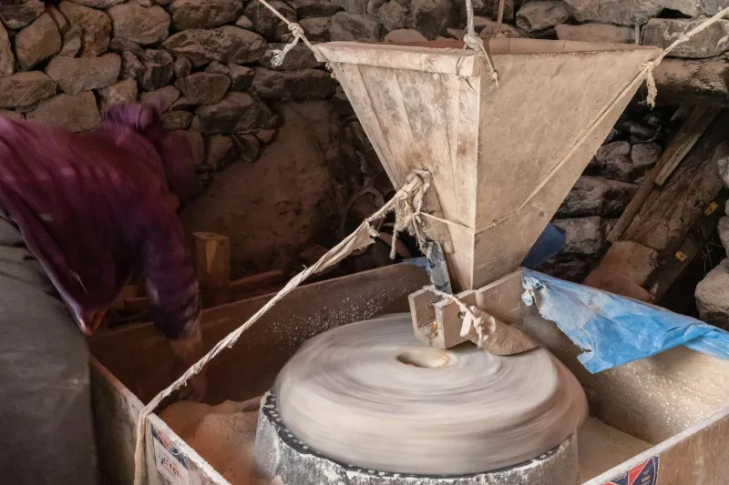 Stone, Grain, and Morning Light: Vermont's Small-Batch Millers Are Changing What's in Your Bowl