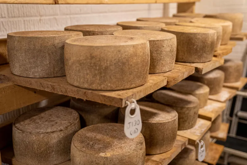Rind and Reason: Meet the Vermont Cheesemakers Giving Small Dairy Farms a Fighting Chance