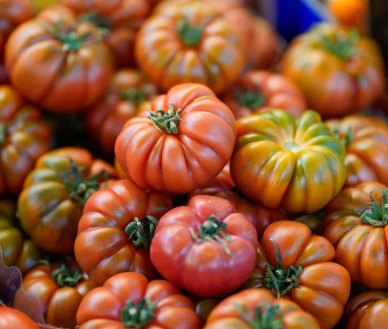 Seed Savers and Soil Dreamers: The Vermont Farmers Bringing Forgotten Vegetables Back to Life