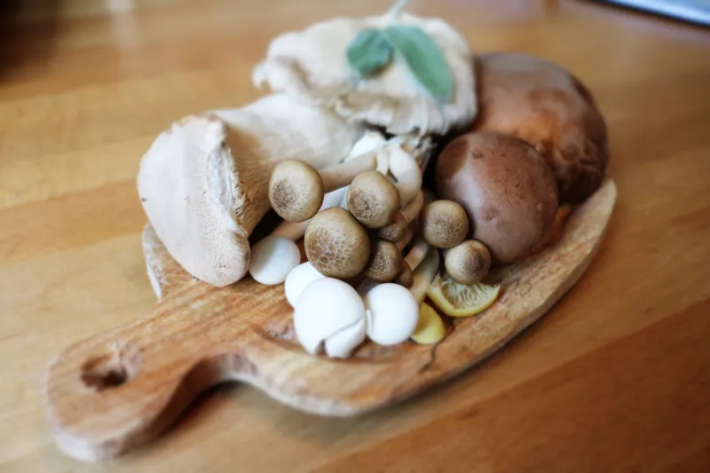 Spores, Logs, and Basements: Vermont's Mushroom Cultivators Are Growing Something Special