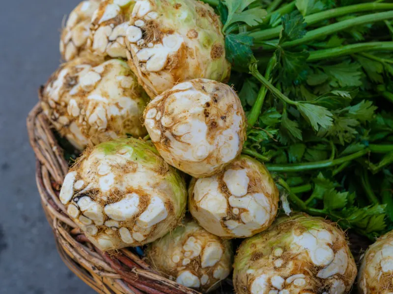 Cold and Clever: Vermont's Root Cellar Sellers Are Stocking Your Winter Table with Something Special